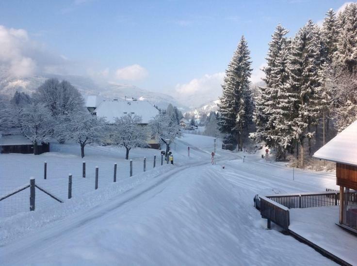 Chalet 14 Kaindorf  Buitenkant foto